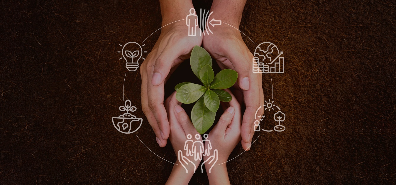 Raintree Family Office